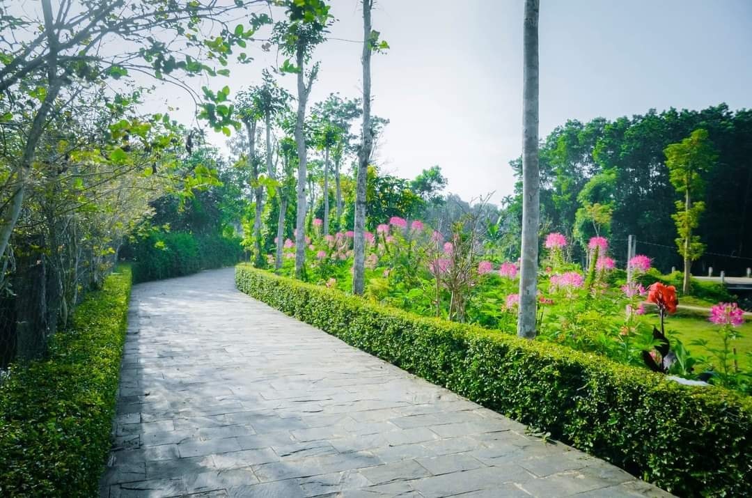 Tiên Phước ban hành Bộ tiêu chí “Vườn mẫu, quy định chiều dài tuyến đường hoa” giai đoạn 2022-2025