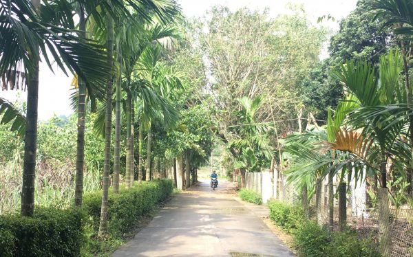 Công nhận 42 hộ có vườn mẫu tại thôn Cẩm Phô, xã Tiên Cẩm